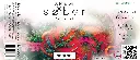 3p625x8p375-Negroni.webp